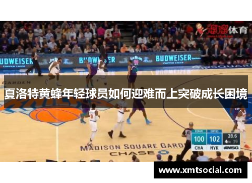 夏洛特黄蜂年轻球员如何迎难而上突破成长困境