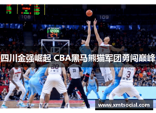 四川金强崛起 CBA黑马熊猫军团勇闯巅峰